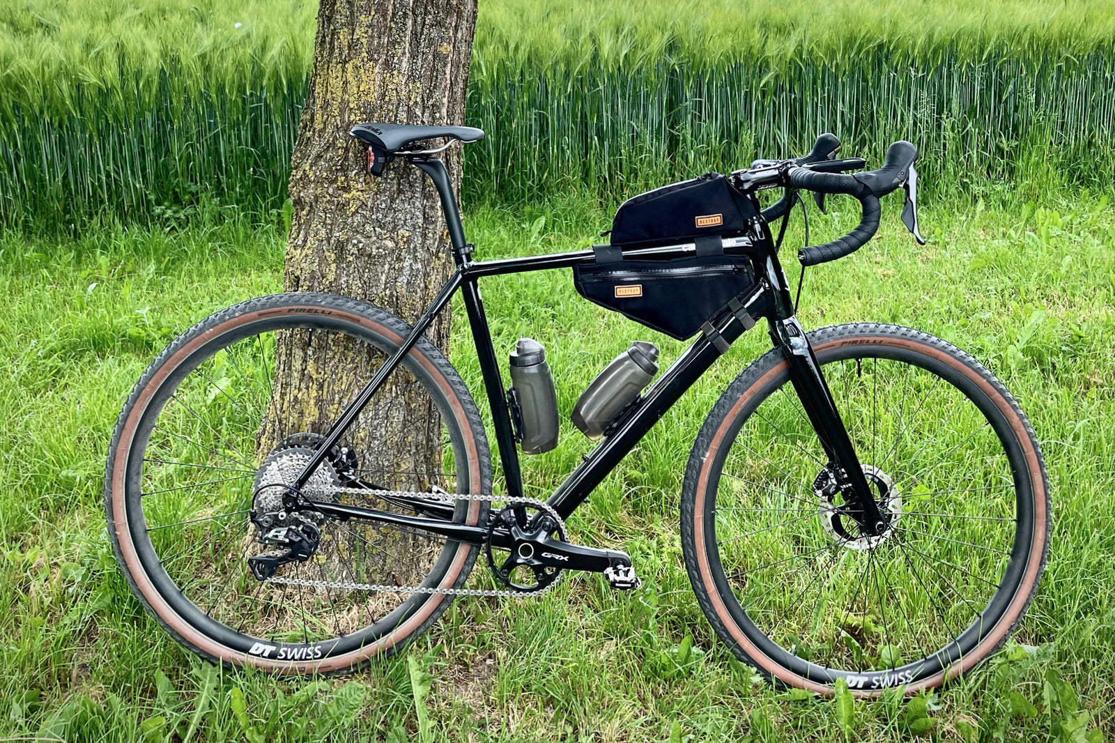 Thiemo's Cannondale