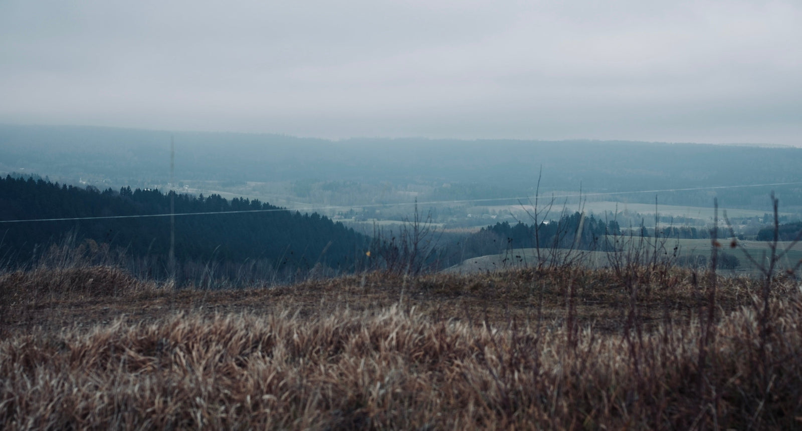 Kotlina Valley Doesn’t Like Hot Dogs with Ketchup